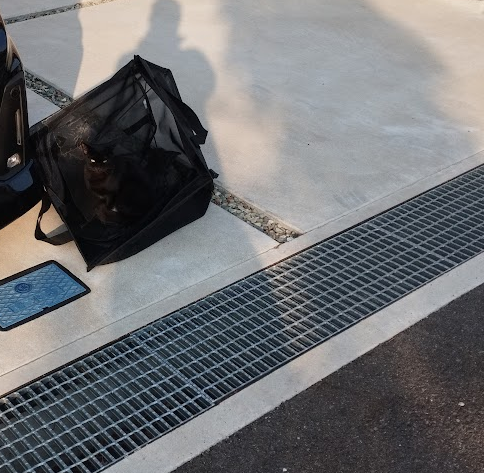 夕休憩🌆
さっき外回り案件の帰りに何か気配を感じるなと思って辺りを確認したトコロ・・・
クロにゃんが黒い編み型BOXの上に忍者みたいに擬態してたのねん🐈⬛📷('ー`)b
