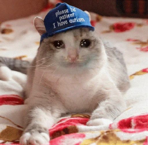 Gm, 

I may look fly, but I want to die. 

- $Crying Cat

Ca:
2ZHYWGndLx76H7NCN4ieMRHSRAAiiWEtJFpHmmXYmE6Z