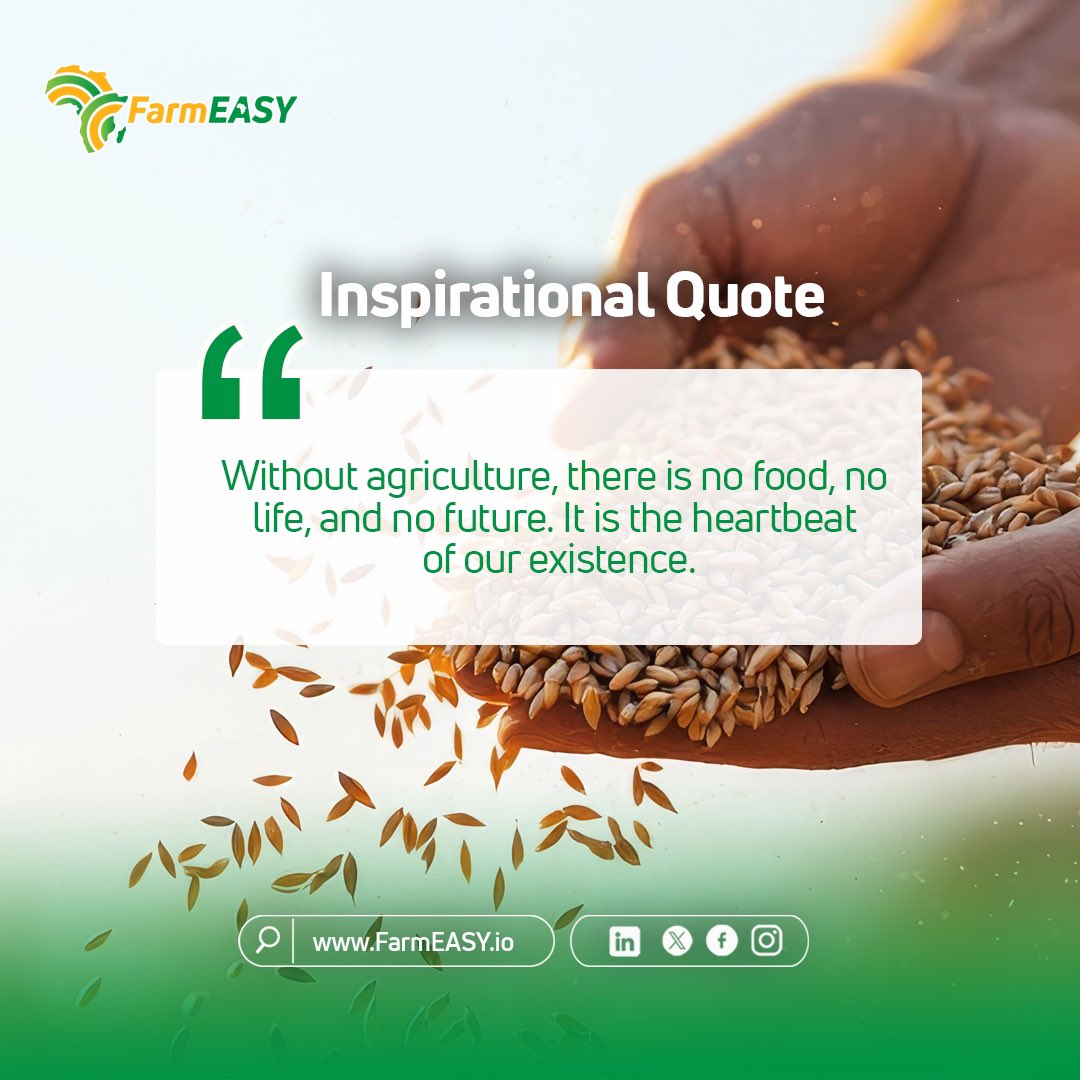 Farmeasytz's tweet photo. Agriculture is the lifeline that sustains us all. Without it, thereโs no food on our plates, no progress in our communities, and no hope for a better tomorrow.
Letโs celebrate and support the farmers who keep the world alive.
#AgricultureMatters #SustainingLife https://t.co/ahoYwM0eBM