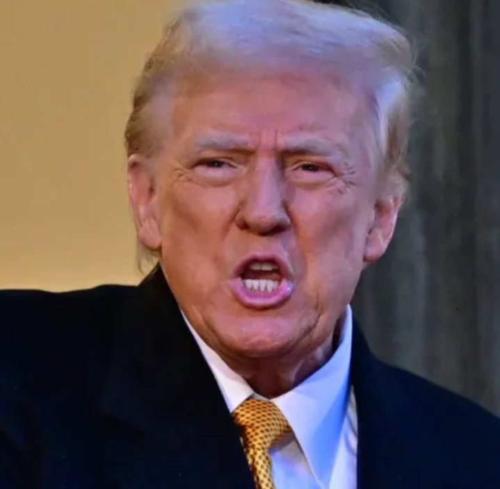 HS_Akechi's tweet photo. #Trump ist eine unberechenbare Katastrophe. Über #Selenskyj: "Er hätte diesen Krieg nicht zulassen dürfen, hätte einen Deal machen können. Selenskyj hat aber entschieden, ‚Ich will kämpfen��".

Dass die #Ukraine eine Wahl hatte behaupten Putins hörige Idioten und er selbst.
1/2👇 https://t.co/wsDb2PLkfu