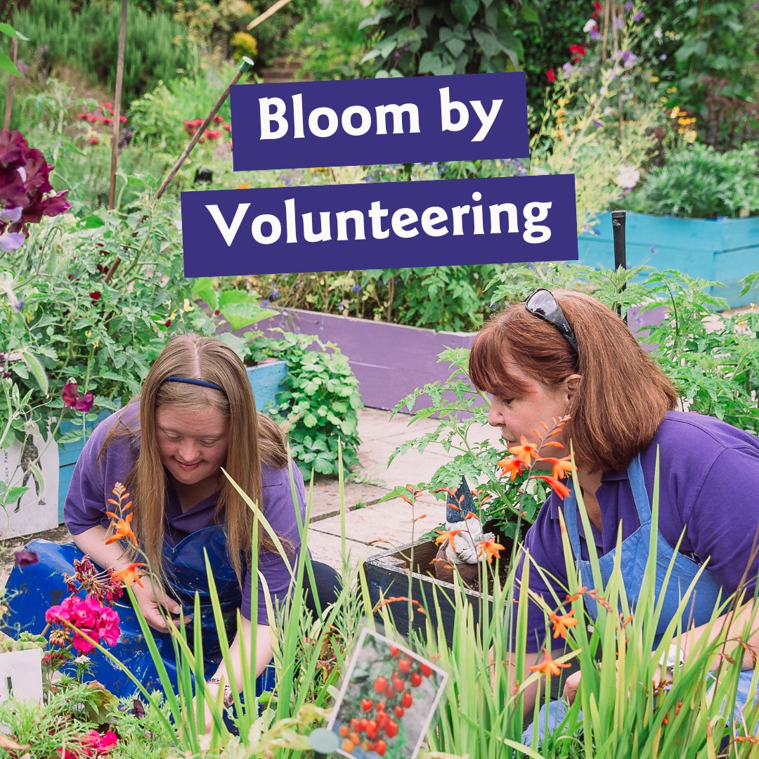 Ready to make 2025 the year you bloom by #volunteering? 🌻 Join Thrive's amazing team of 250+ volunteers making a difference at our London, Reading, and Birmingham gardens. Explore opportunities &amp; sign up for a taster session at: thrive.org.uk/get-involved/v…