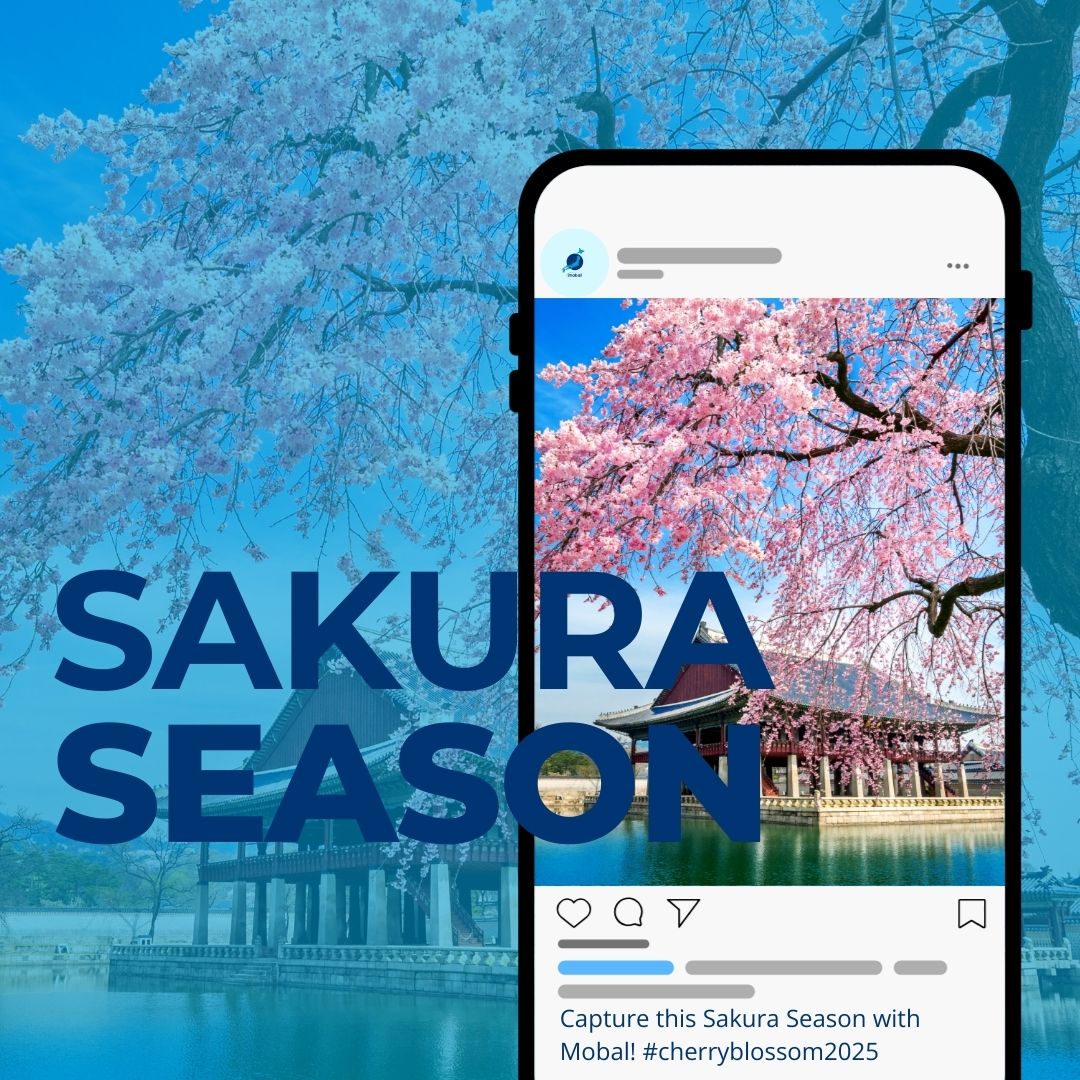 Mobal 🌐 tweet media