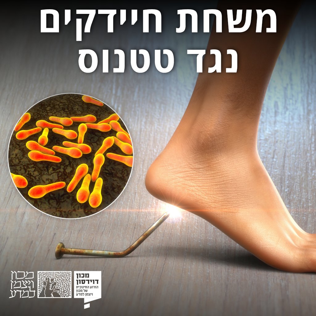 DavidsonOnline's tweet image. מחקר חדש מראה שחיידקי עור מעוררים תגובה חיסונית בגוף, גילוי שעשוי להוביל בעתיד לפיתוח חיסונים חדשים שיחסכו את הצורך בזריקה >>> bit.ly/42qK4Oj
מאת: רעות נורי
📸Kateryna Kon, Shutterstock