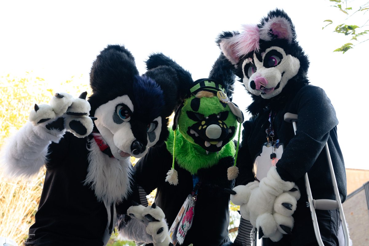 Biohazard_fox 🔜 FurDu tweet media