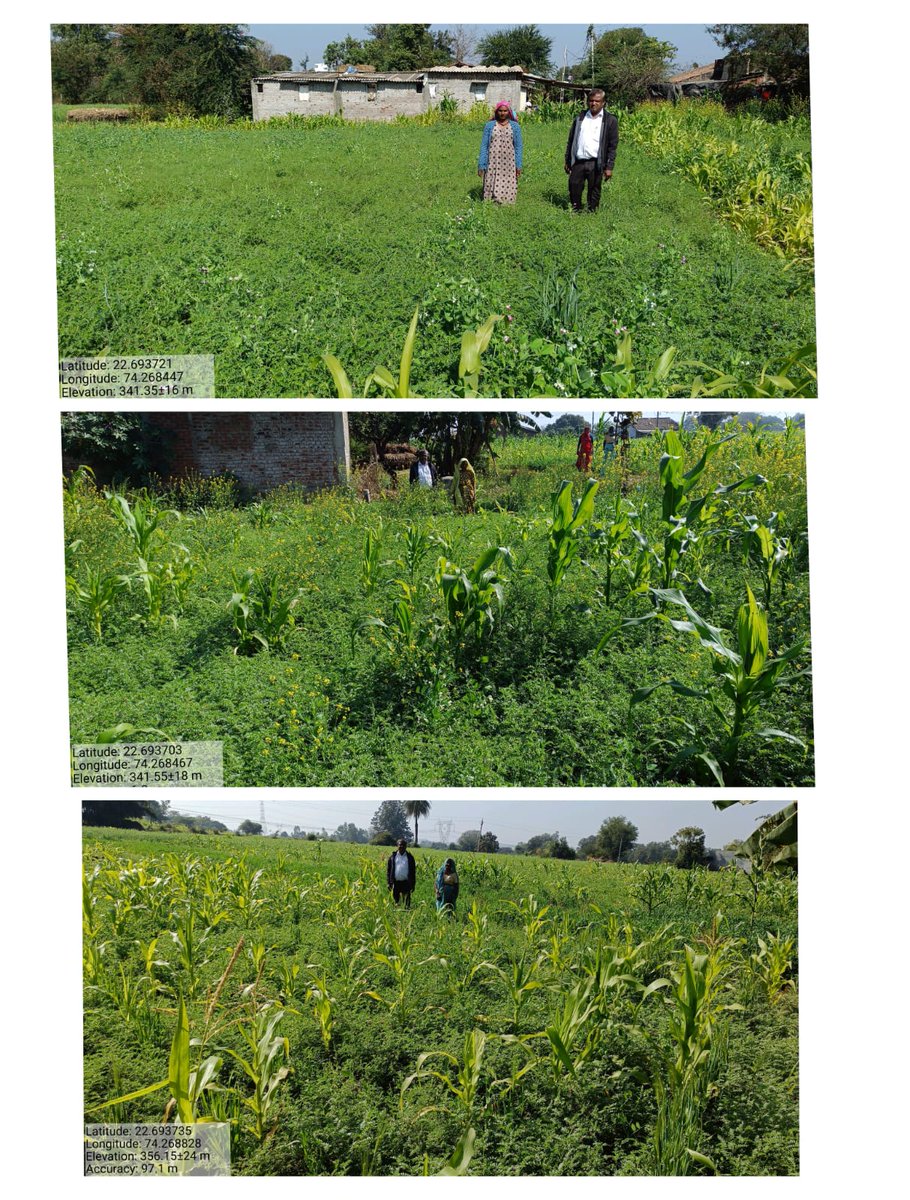 તાજેતરમાં Rabi season 2024-25 માં પેટા વિભાગ દાહોદના વિવિધ તાલુકાઓમાં ન્યુ ગુજરાત પેટર્ન અંતર્ગત આદિજાતિ વિધવા બહેનોને ચણાની બિયારણ કીટ આપવામાં આવેલ,તેઓનાં ફિલ્ડ વેરિફિકેશન ની કામગીરી ગ્રામસેવકશ્રીઓ દ્વારા કરવામાં આવી રહેલ છે.