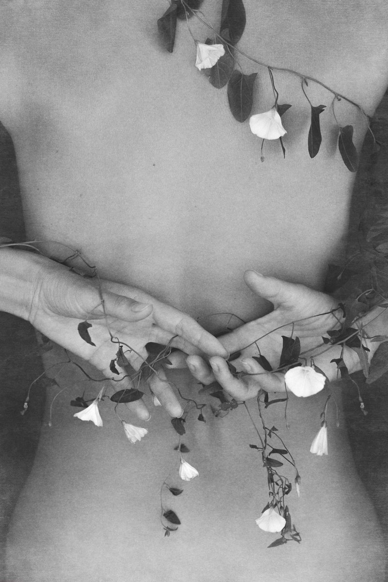 Happy Friday!

Gentle Embrace 
6/15 left
5 xtz🖇️