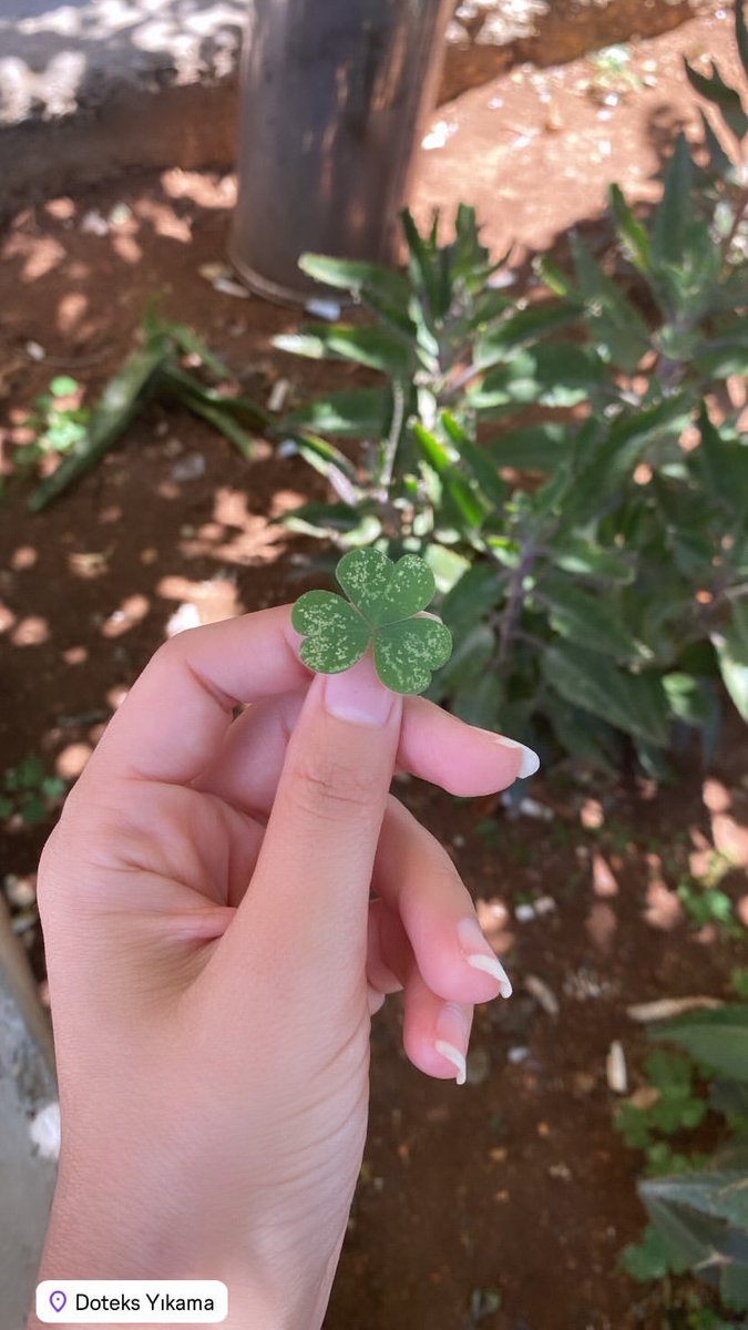 İyi şans olması diyelim..🍀