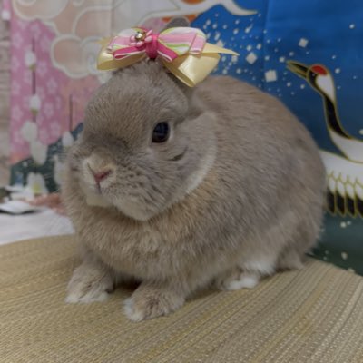 romekoalfa's tweet photo. #新しいプロフィール画像 https://t.co/51hptKjMu6