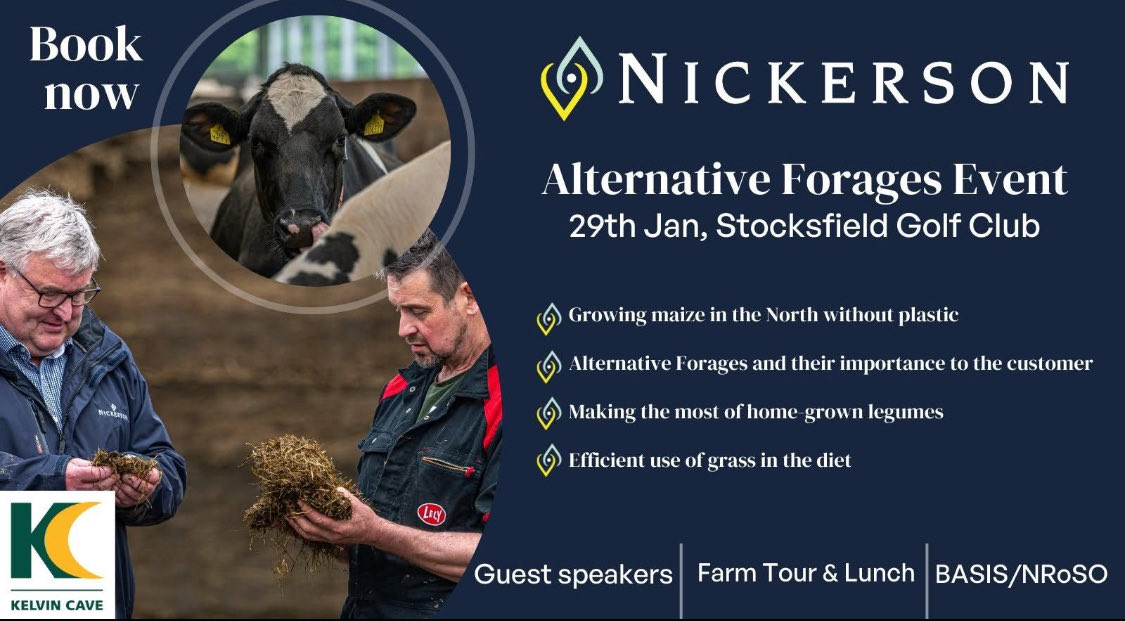 SEAN LOVEGREEN tweet media