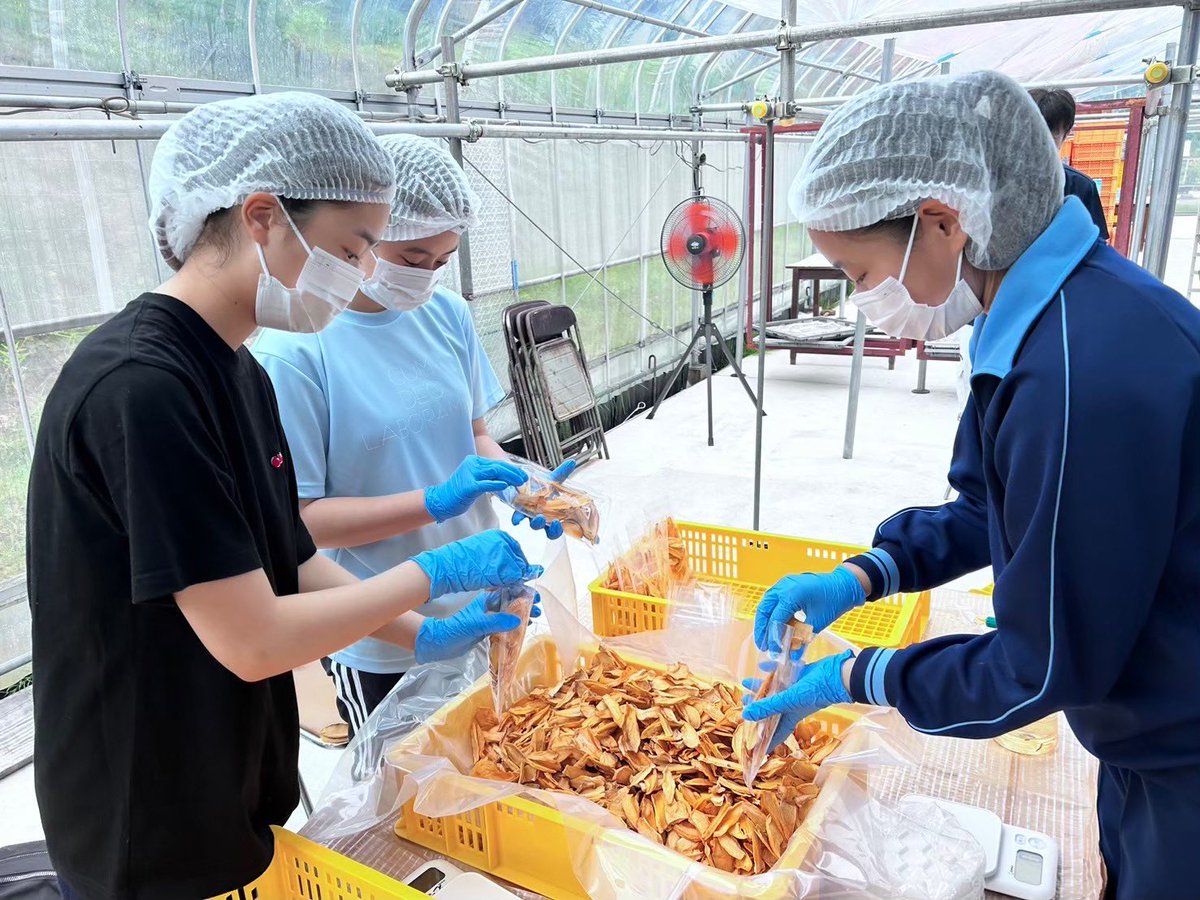 #すっぴんブギ 地元密着型の観光プランを考え、プレゼンする大会《観光甲子園》決勝大会に出場する広島女学院高校のみなさんにお話しを伺いました🧚🏻‍♀️✨3人で地域課題を取材して作り上げた観光プランはとても魅力的でした📝コンテストはもちろん、実現に向けて今後が楽しみです🤗💓福山早紀
#RCCラジオ