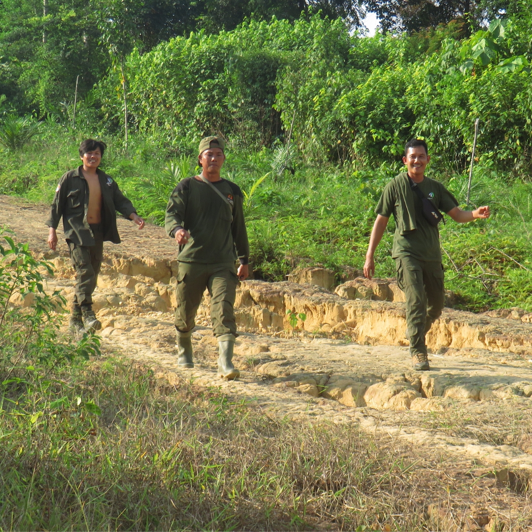 IntElephantProj's tweet image. This #InternationalDayOfEducation we’re celebrating how education transforms futures—for people, wildlife, and forests! Thanks to our incredible supporters, our teams in Indonesia, Laos and Sri Lanka are helping communities live in harmony with Critically Endangered elephants. 🐘