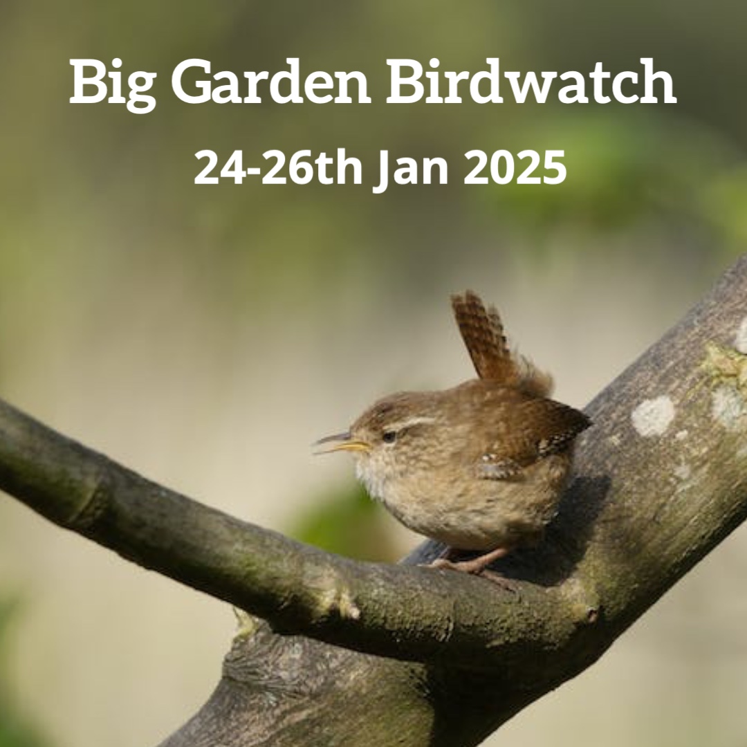 Winter can be a tough time, but there are several projects you can undertake to get through the colder months in the UK, like taking part in the RSPB #BigGardenBirdwatch Simply count the birds that land in your garden to help with their conservation. 
ow.ly/PY1Y50UKa3s