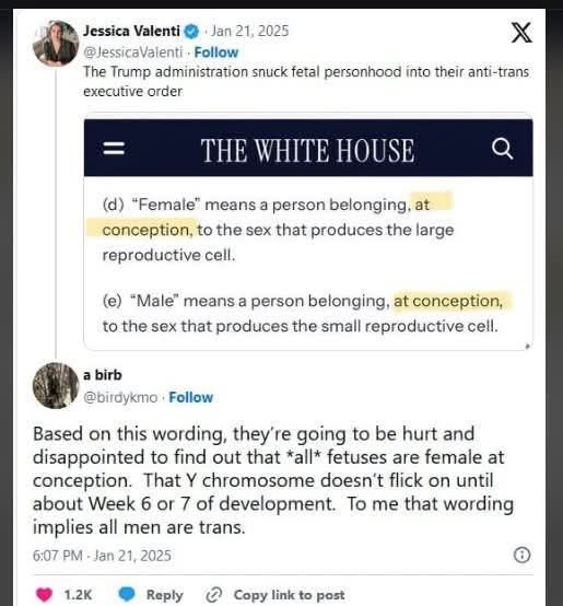 thecomedyhobbit's tweet photo. @NancyMace here you are, the definition of a Woman, we are all Female… https://t.co/cLoFwP5dmL