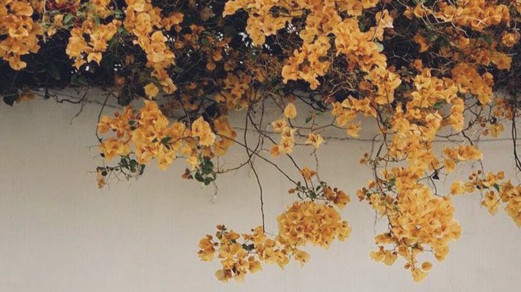 🌙
     “Pozitifi bile hırsla istemek gereksiz bir yüktür…”