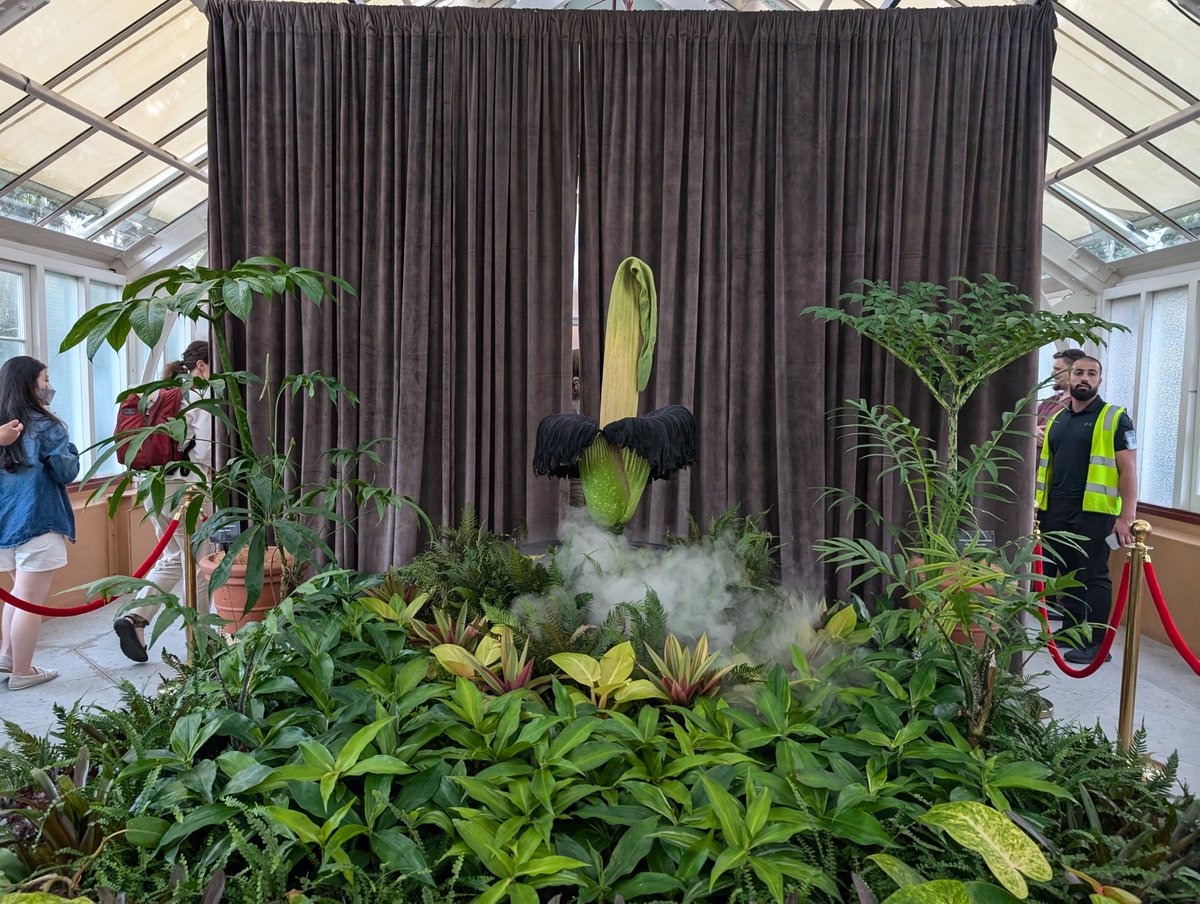 Cluttered Minimalist tweet media