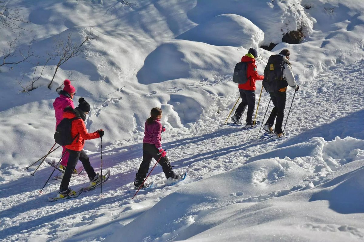 PNGranParadiso's tweet photo. Le Guide del Parco propongono un ricco programma di attività invernali, tra cui #passeggiate con le #ciaspole, #escursioni e #sport: esplora tutta la programmazione sul nostro sito web.
➡️ https://t.co/jtFfty4i0Q https://t.co/222WNTU7Wz