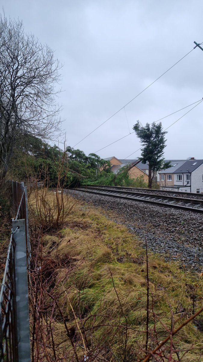 col_tho's tweet photo. @ScotRail @NetworkRailSCOT #StormEowyn between #Westerton to #Bearsden #tree on line https://t.co/Q4PalKTeJs