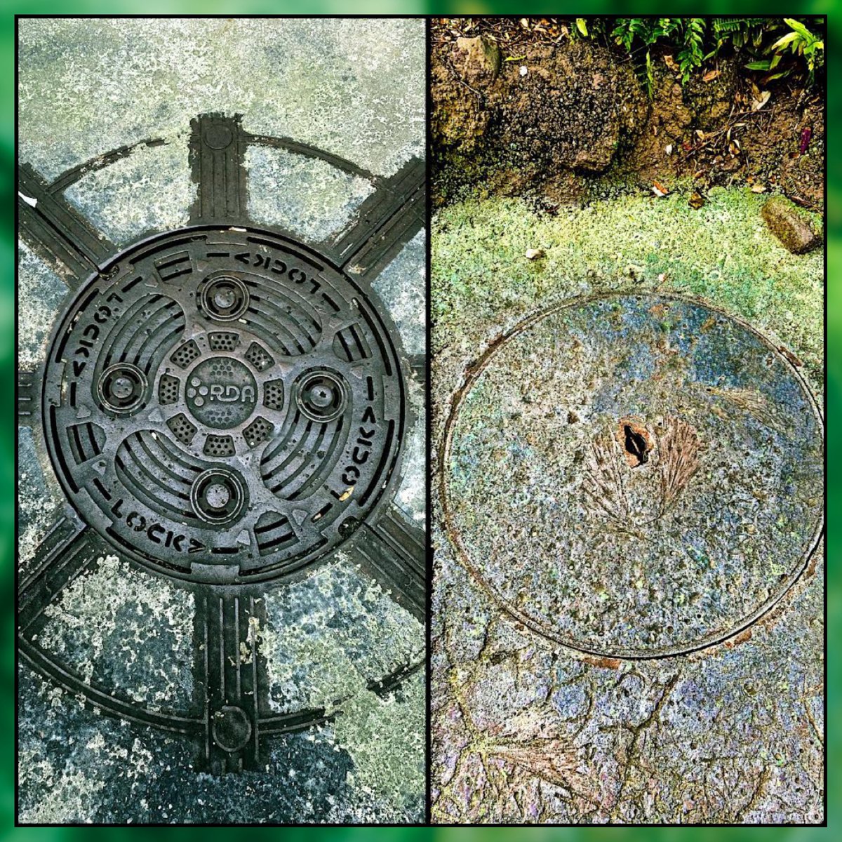 Parkeology tweet media