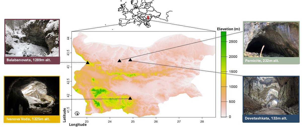 BDJournal (@biodatajournal) on Twitter photo 🦇❄🔎 A field-based investigation into bat winter activity patterns across several of Europe’s largest hibernacula: doi.org/10.3897/BDJ.13…
#bats #climatechange #animalbehaviour <a href="/NiaToshkova/">Nia Toshkova</a> <a href="/StanimiraDeleva/">Stanimira Deleva, PhD</a> 🦇❄🔎 A field-based investigation into bat winter activity patterns across several of Europe’s largest hibernacula: doi.org/10.3897/BDJ.13…
#bats #climatechange #animalbehaviour <a href="/NiaToshkova/">Nia Toshkova</a> <a href="/StanimiraDeleva/">Stanimira Deleva, PhD</a>