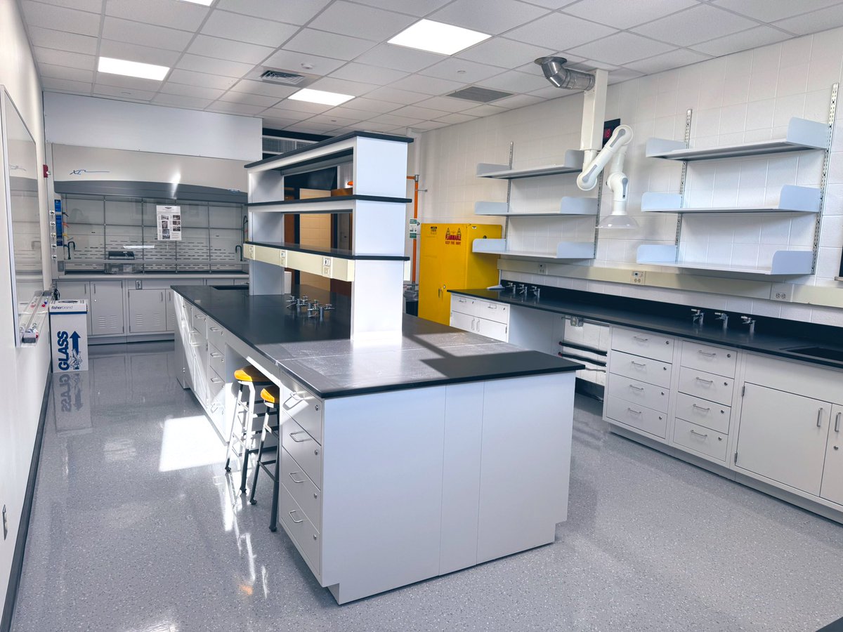 Elizabeth Stone tweet media