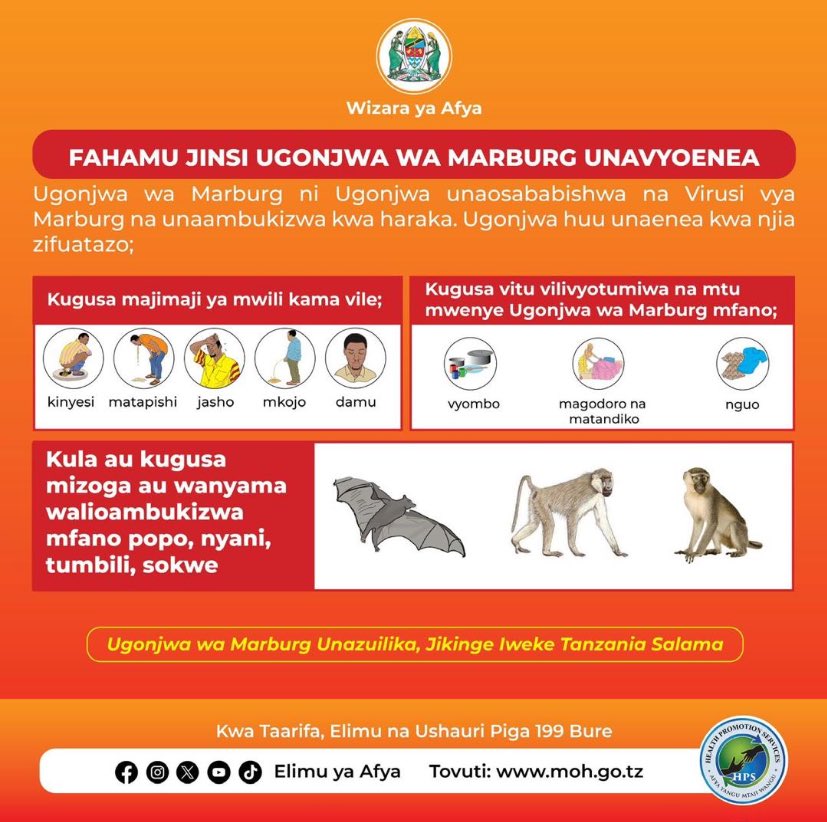 humangeneticstz's tweet photo. Ugonjwa hatari wa virusi vya Marbug.
Fahamu unavyoenea, dalili na jinsi ya kujikinga na ugonjwa huu unaombukizwa kwa haraka.
Kwa msaada, elimu au kutoa taarifa juu ya ugonjwa huu, piga simu 199 bure.
#Marbug #Jikinge #IwekeTanzaniaSalama https://t.co/DCnva2uJf9