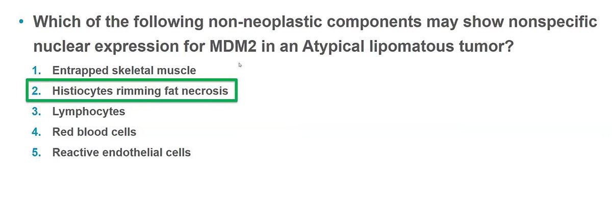 Janiranavarro's tweet photo. #JobPrepBootcamp #BSTPath 
Histiocytes rimming fat necrosis can show nonspecific nuclear expression for MDM2

Dr. Clay #pathology #PathX #PathTwitter https://t.co/ZxVIAbrHFh