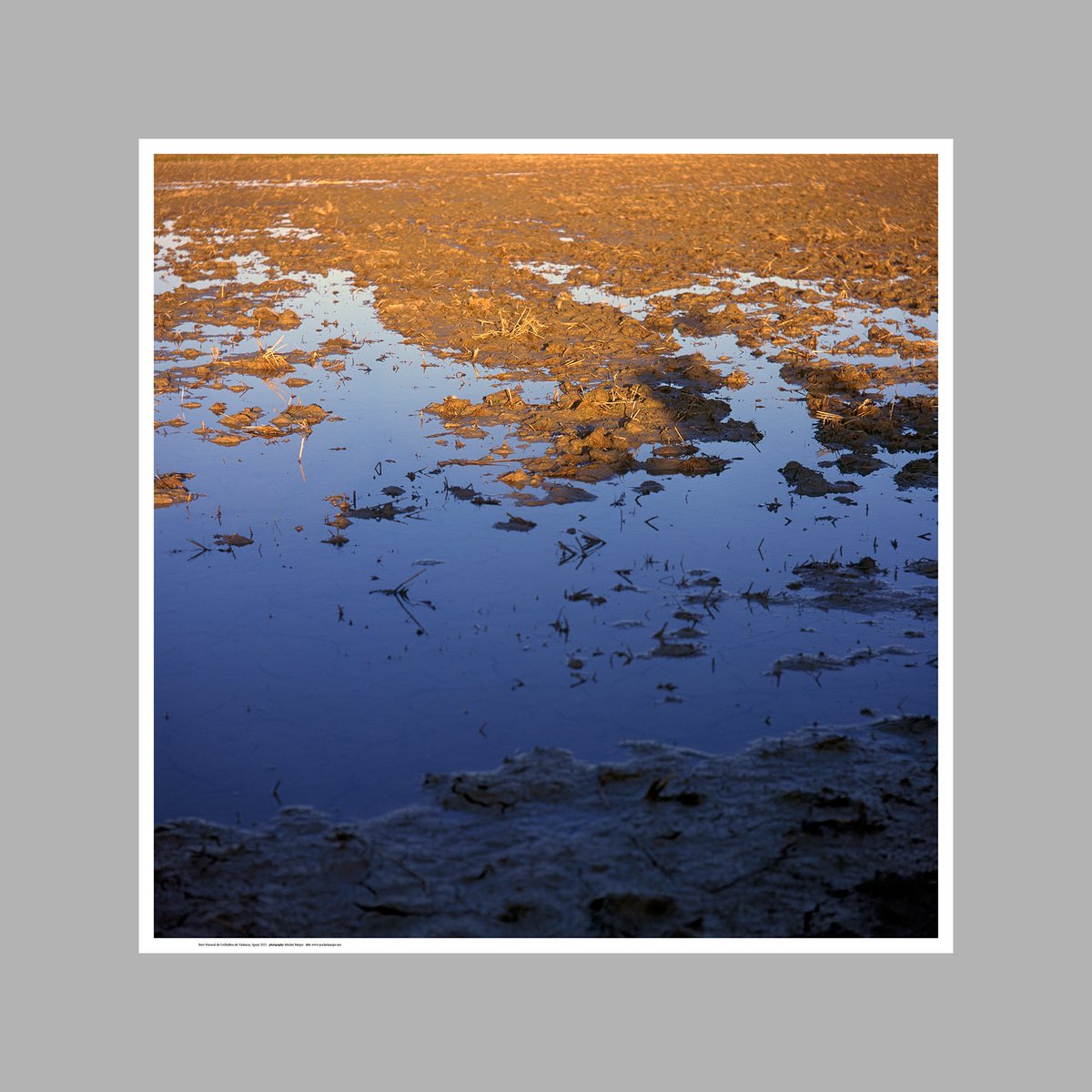 ohoh_store's tweet photo. Winter time in the #Albufera de #València. The last sunlight of the day hits the fallow rice field resulting in beautiful colours and shapes, making the ground appear almost like an abstract painting. https://t.co/P82Gq8qD2v

#FineArtPrint #ricecultivation #Kulturlandschaft #Foto https://t.co/ilOKpFOk1X