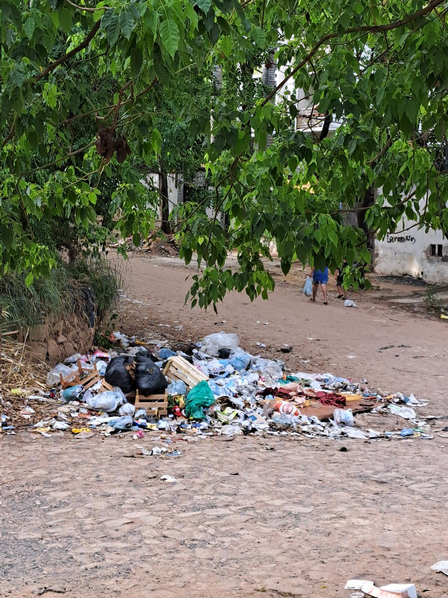 helebelen's tweet photo. @nelsonmorapy Hace años se pide q el camión entre en una calle que dejo de entrar hace 8 años.
Asi q los vecinos ponen en la esq donde pasa armando este desmadre.
La basura no tiene patas pero la ineficiencia municipal SI https://t.co/HghDyHcZ9B