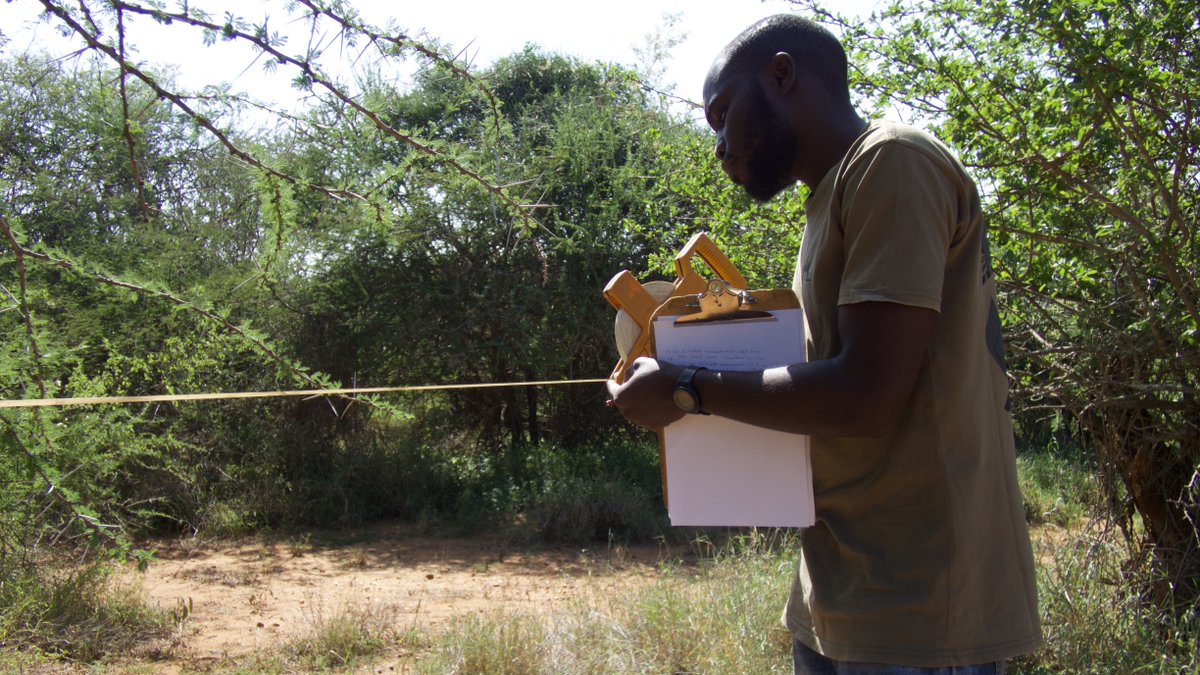 Mpala Research Centre / @mpalarc.bsky.social tweet media