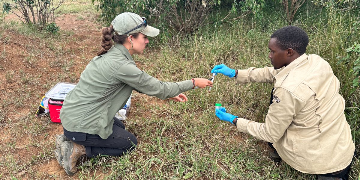 Mpala Research Centre / @mpalarc.bsky.social tweet media