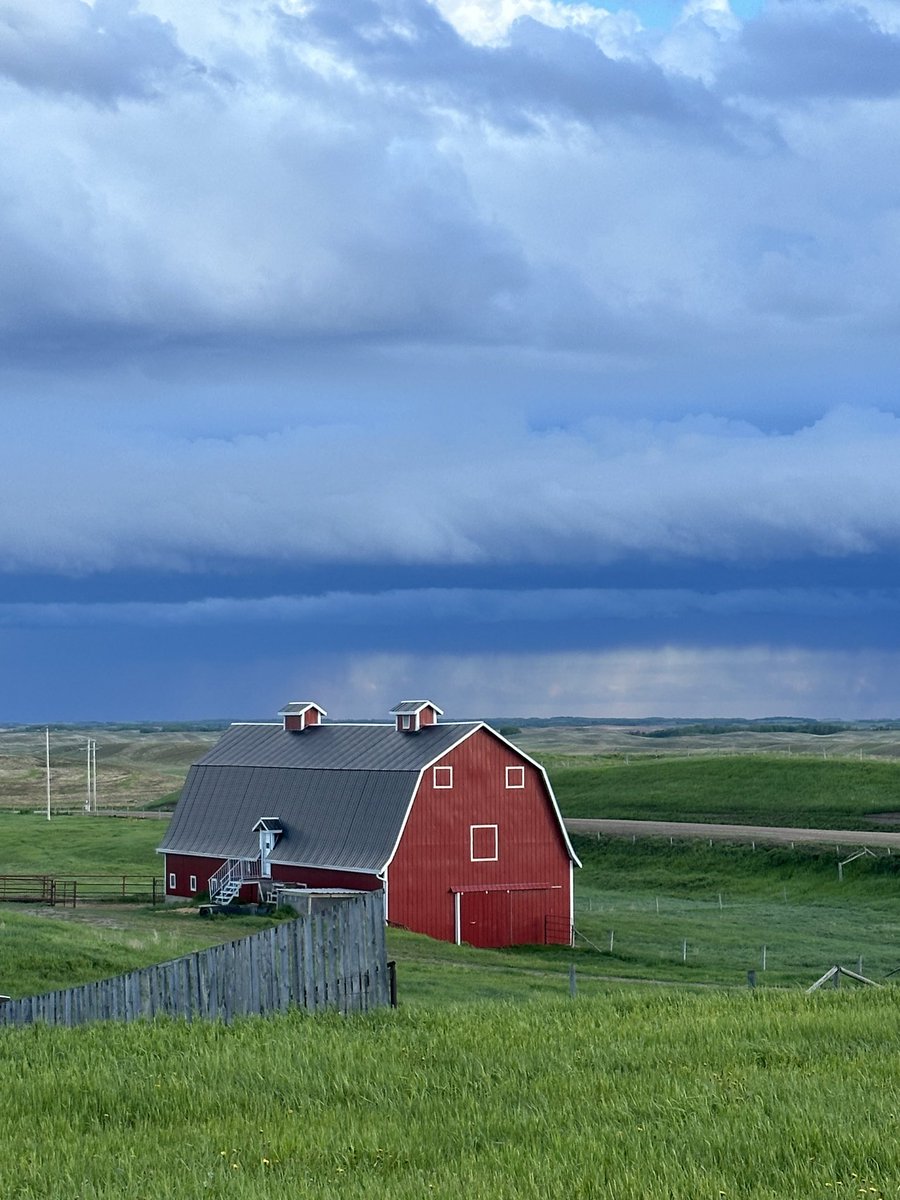 David  T tweet media