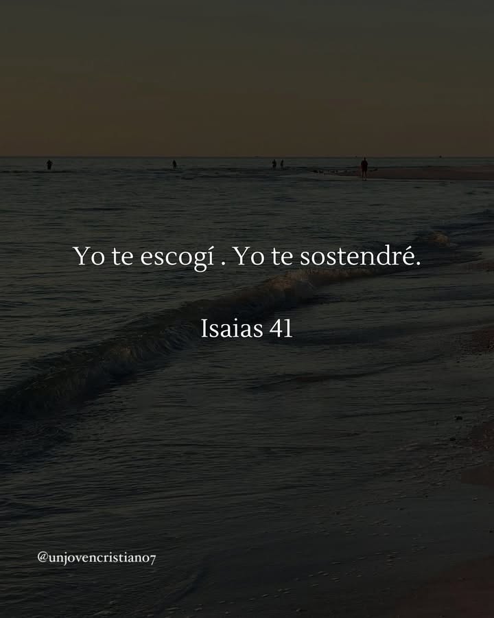 el Siervo (@elsiervo__) on Twitter photo 