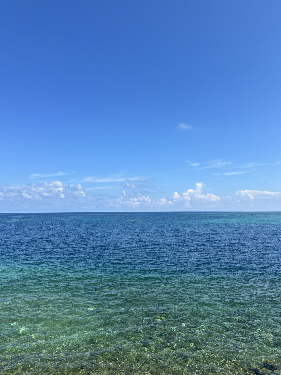 夏が恋しい。
※ただし暑すぎない夏に限る