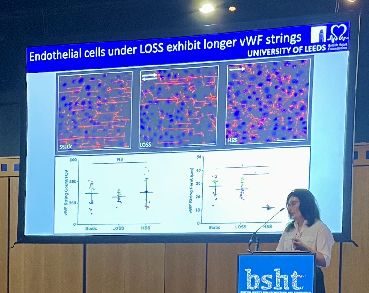 lynn mckeown (@lmckeown3) on Twitter photo Wonderful few days <a href="/BritSocHaemThro/">British Society for Haemostasis & Thrombosis</a> in Newcastle, meeting new people and chatting science. Massive shout out to group member <a href="/HTodd30/">Harriet Todd</a> for her brilliant presentation and for her abstract being in the top 5 of all applicants. Wonderful few days <a href="/BritSocHaemThro/">British Society for Haemostasis & Thrombosis</a> in Newcastle, meeting new people and chatting science. Massive shout out to group member <a href="/HTodd30/">Harriet Todd</a> for her brilliant presentation and for her abstract being in the top 5 of all applicants.