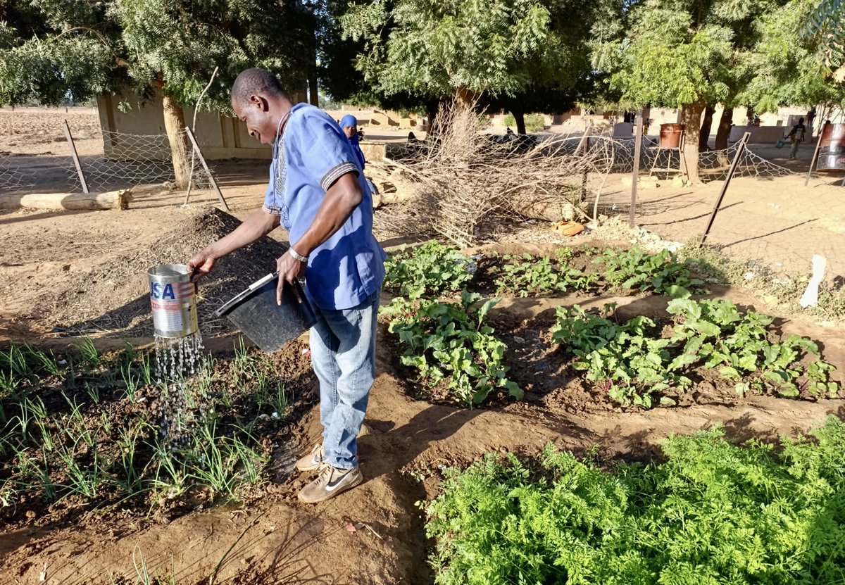 AmprodeSahel's tweet photo. Dns le cadre de la mise en œuvre du projet #MGD4, ntre équipe a procédé à une exploration du jardin scolaire de l'école de Promani.
À noter que c'est ces jardins scolaires sont l'œuvre de l'ONG @AmprodeSahel en collaboration avec le Comité de Gestion Scolaire de Promani. https://t.co/rIUh8St4qv