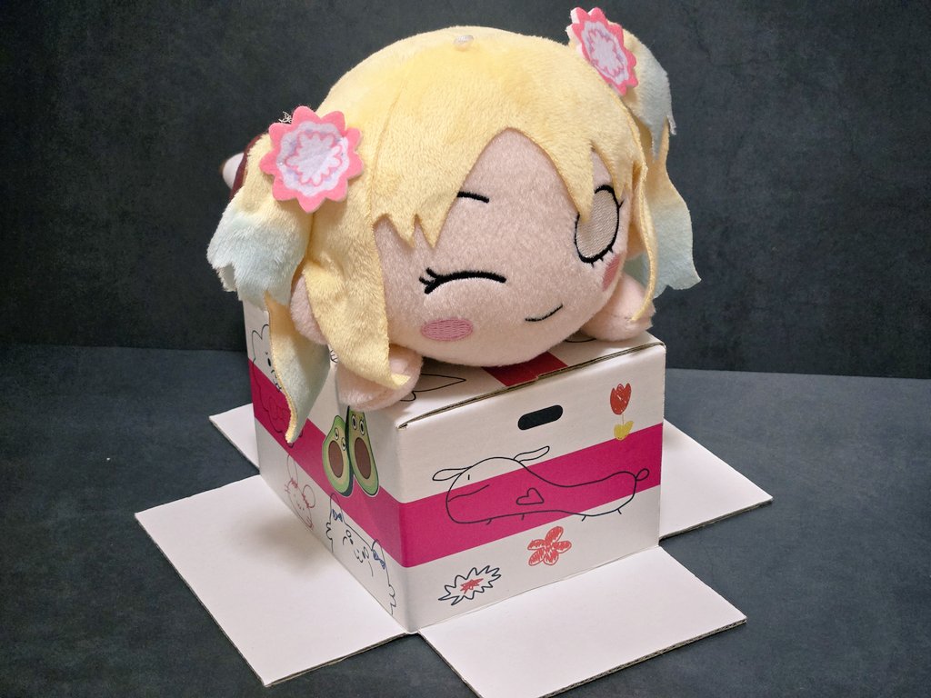 詳細、その1】 大沢瑠璃乃の段ボール箱、 とその17歳誕生日ver 普通の