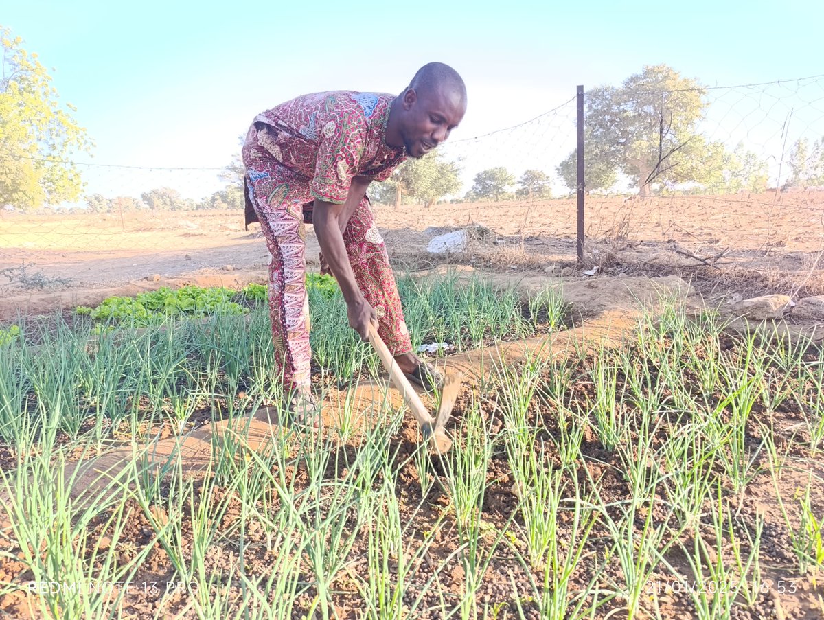 AmprodeSahel's tweet photo. Dns le cadre de la mise en œuvre du projet #MGD4, ntre équipe a procédé à une exploration du jardin scolaire de l'école de Promani.
À noter que c'est ces jardins scolaires sont l'œuvre de l'ONG @AmprodeSahel en collaboration avec le Comité de Gestion Scolaire de Promani. https://t.co/rIUh8St4qv