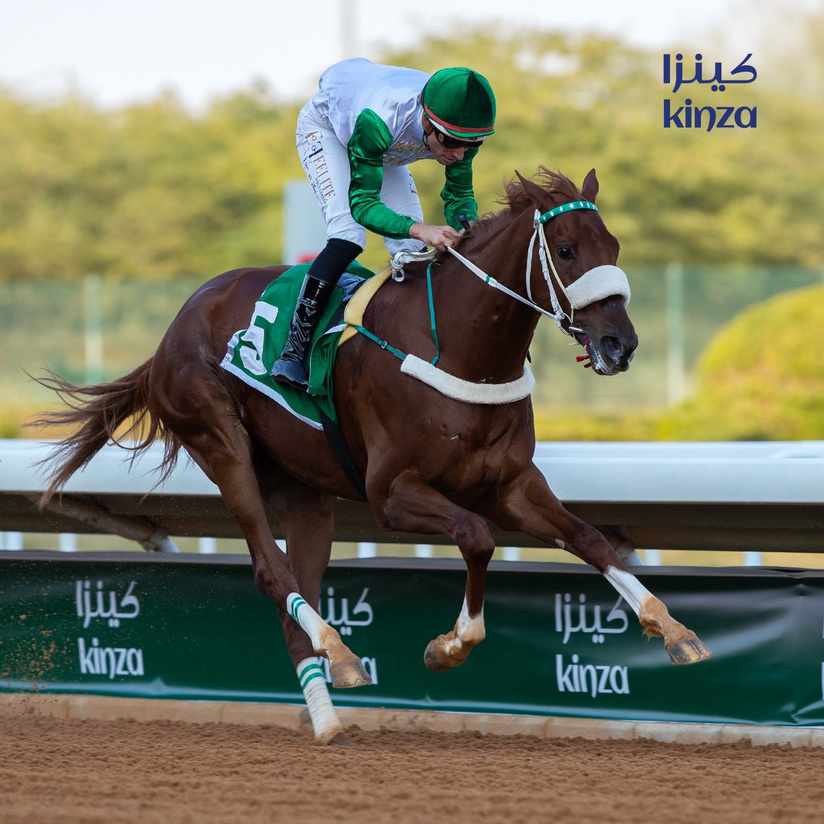 نتيجة الشوط الـ 2 الحفل ( 83 ) 

للخيل المباعة في مزاد 2023 🥇 
برعاية كينزا <a href="/Kinzabev/">Kinza</a> 

◻️الفائز : بليهان
◻️المالك : الشيخ عبدالله حمود المالك الصباح 
◻️المدرب : ثامر الديحاني
◻️الخيال : ريكاردو فيريرا 
◻️المسافة : 1400م

#نادي_سباقات_الخيل 🐎