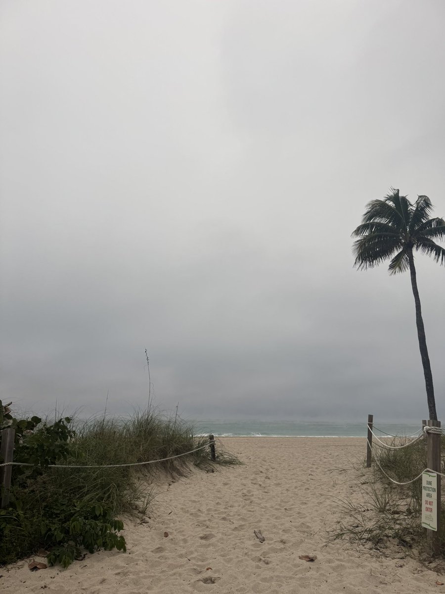 Crispy 48 degrees this morning in Fort Lauderdale ☀️