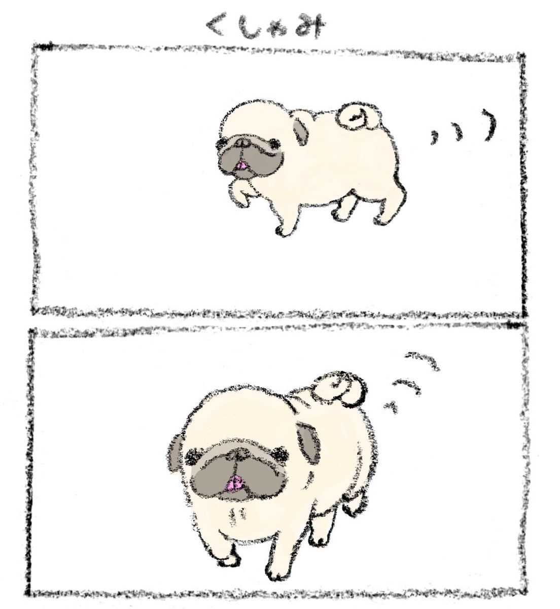 89no87chan's tweet photo. くしゃみ
#パグ　#ブシュッ　#パグのイラスト https://t.co/zMRFmY5lks