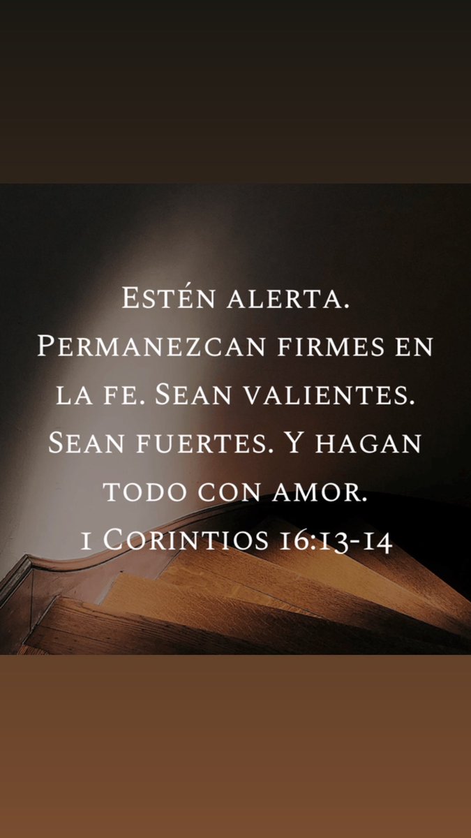 Nando Steidel tweet media