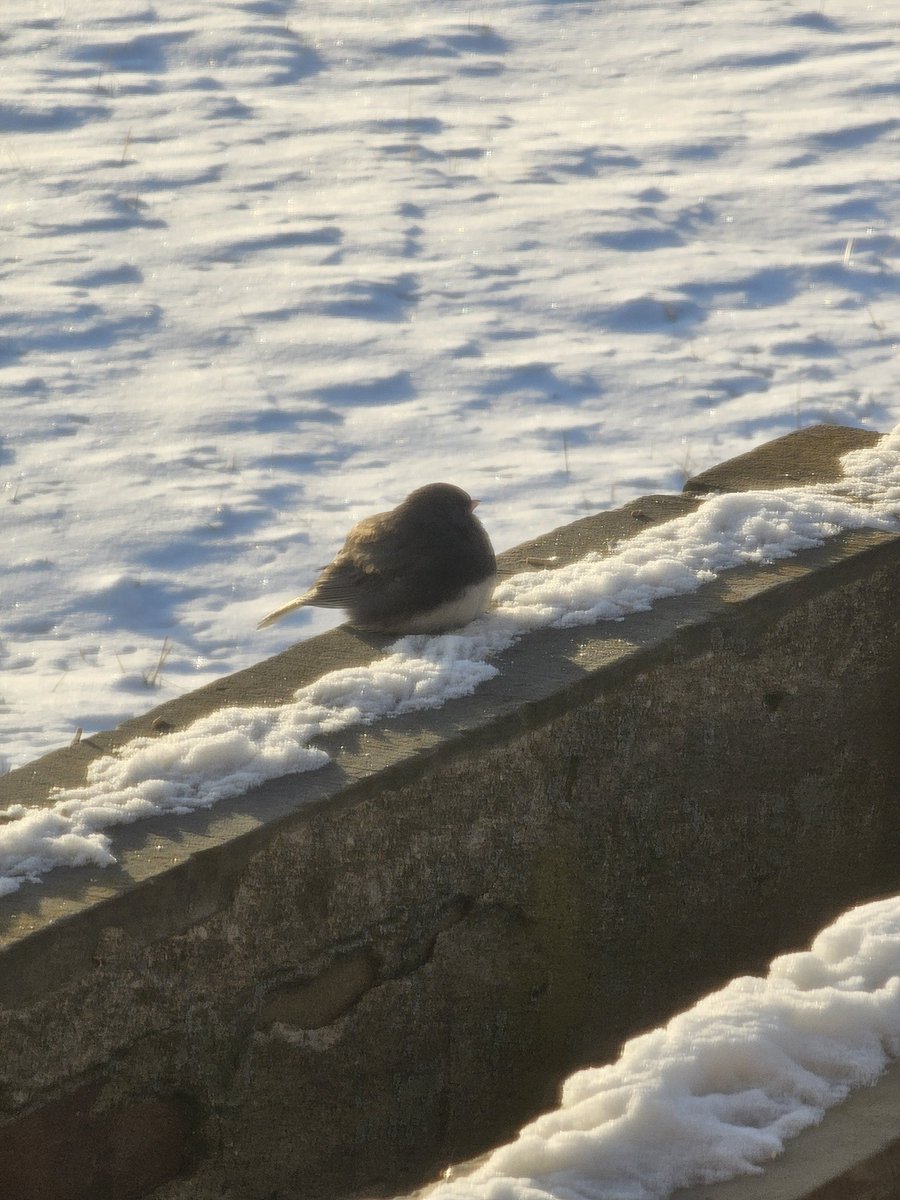 Bro has some serious gains.