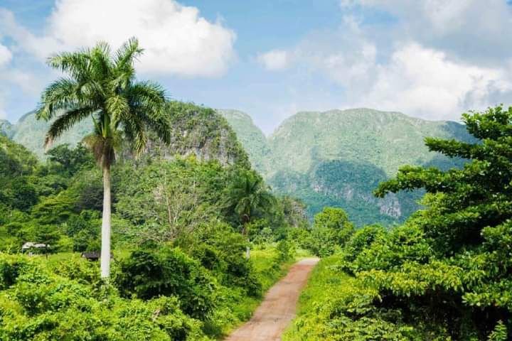 TelePinar's tweet photo. 🇨🇺| Iniciamos la mañana de este #Viernes #24ENE, listos para ponerle al tanto de la actualidad noticiosa.

📲Síguenos por todas nuestras redes sociales y tendrás a la mano toda la información de #PinardelRío, #Cuba y el mundo 🌎 

#TelePinarInforma con vida propia https://t.co/3w7STrxm9q