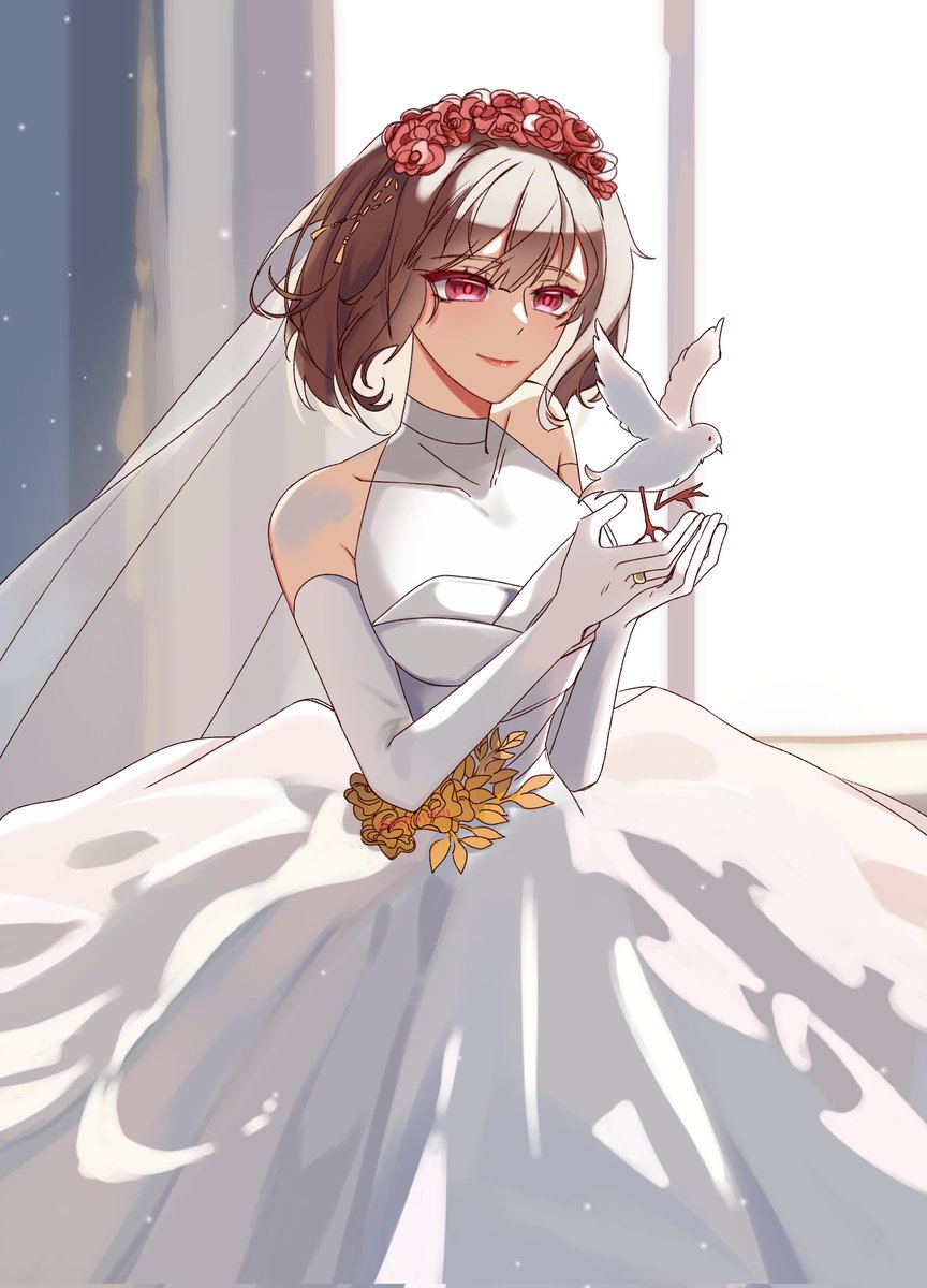 "for more than one year"

#tkdbプラス