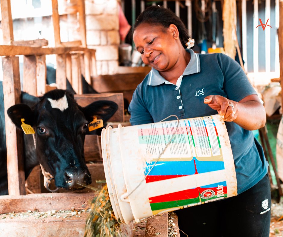 Veterinarians Without Borders tweet media