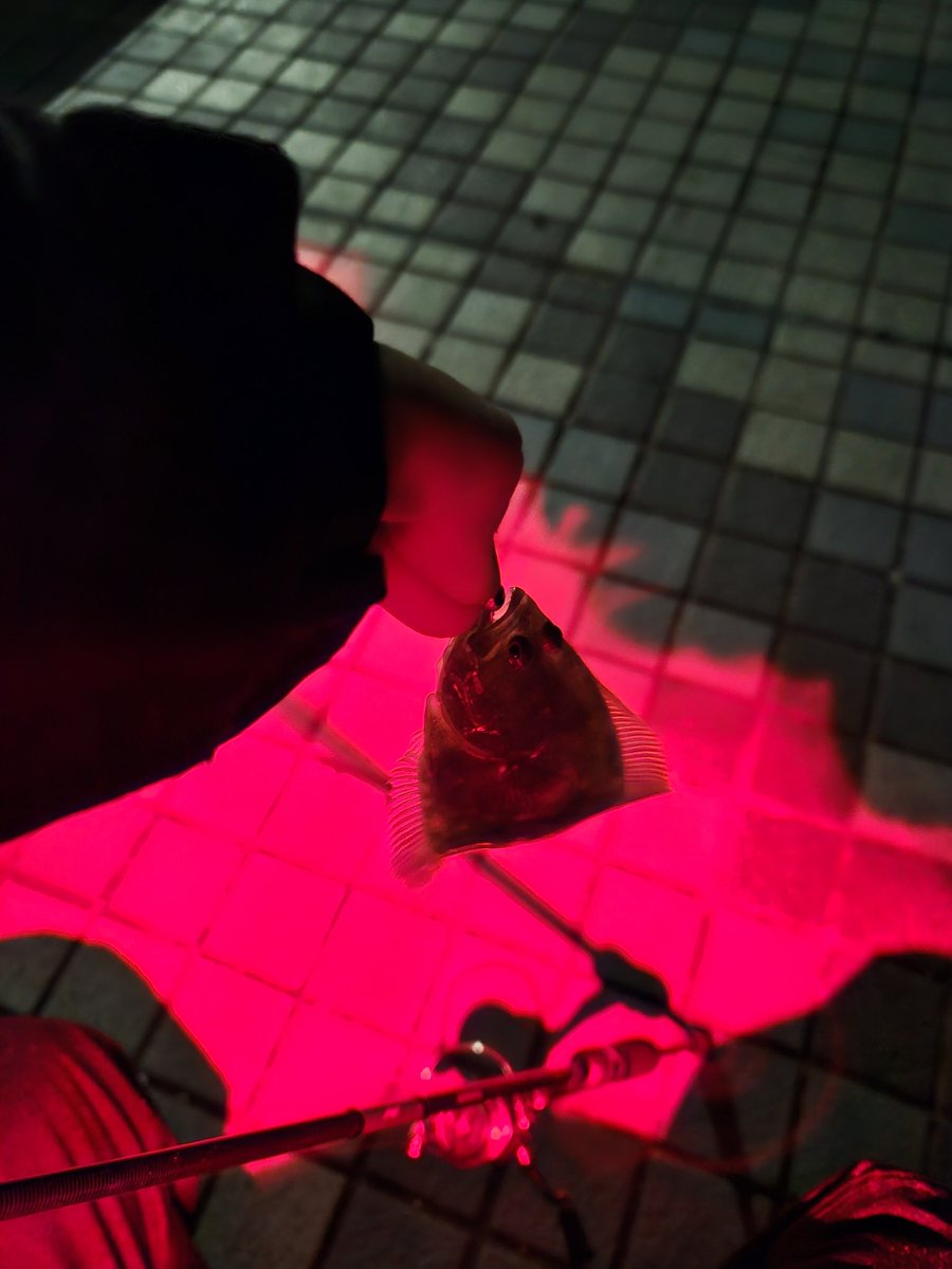 Raid_cha's tweet image. 新年一発目は！ソゲ！！！(笑)