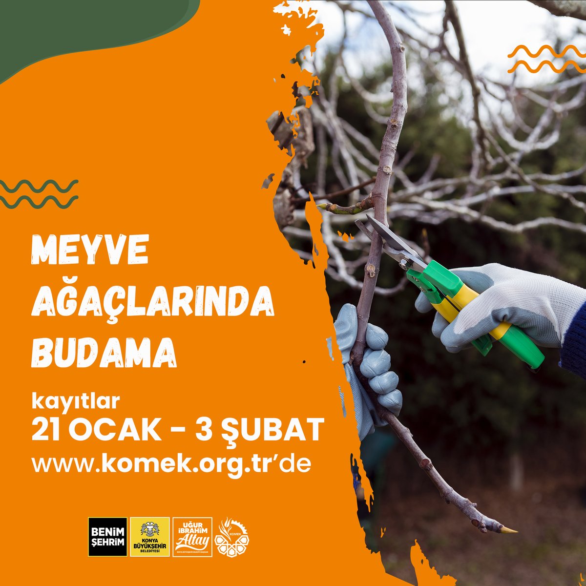 komekkonya's tweet photo. ✂️ Meyve Ağaçlarında Budama Eğitimi Başlıyor! 🌳

📅 Kayıt Tarihleri: 21 Ocak - 3 Şubat
💻 Kayıt Linki: https://t.co/c2tue9KHHR

📌Meyve ağaçlarının sağlıklı büyümesi ve verimli hale gelmesi için doğru budama tekniklerini öğrenmek isteyenler, bu eğitim tam size göre!

#KOMEK https://t.co/cuIYIHPtIg