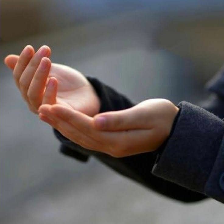 Elifce_x's tweet image. Sadece '#NİYET'  edin
 ve yolunuza devam edin.
#KADER  niyete aşıktır.
Çektiğin #ZAHMET  
birgün #RAHMET olur..

     Hz. Şems

     #DUA  ile..
_____ #Hayırlı__Nurlu_____ #cumalar