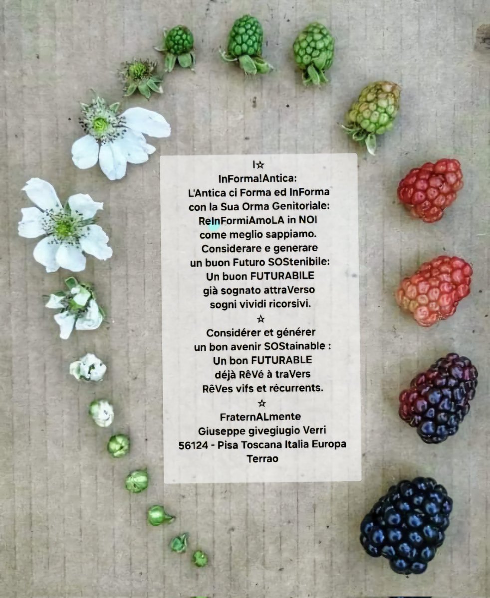 givegiugio's tweet photo. #LIPP #Lavorare_In_Perfetta_Pace anche per sempre anche dopo la transizione:
Sanum #LABOREM_EXERCENS cum Sanum #Instrumentum_LABoris in Inferis Etiam sed etiam Ubiquiter.
Gli Antichi Gentili Pagani CONSIDERAVANO I CAMPI ETERNI: I CAMPI ELISI che col sano #Orare_x_LAV_Orare emancipano ciascuna Persona.