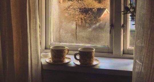 🌙
     “Layık olmayan kimseye dil dökme.
Kendini boş yere rezil edersin…”